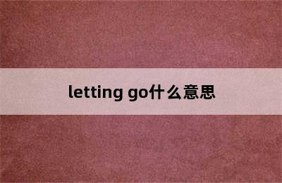 letting go什么意思